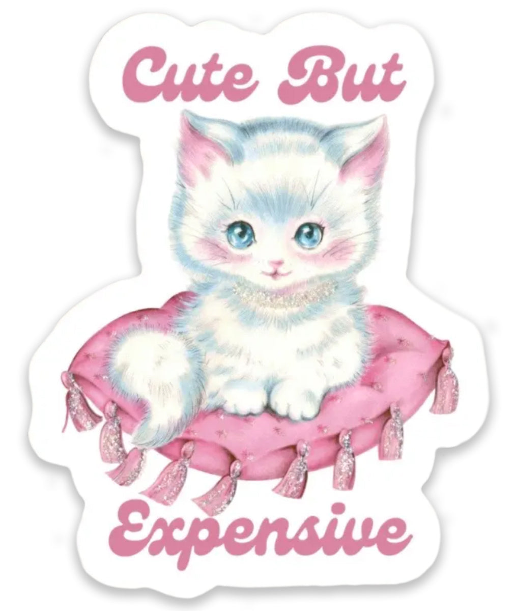 Cute But Expensive / Sticker
