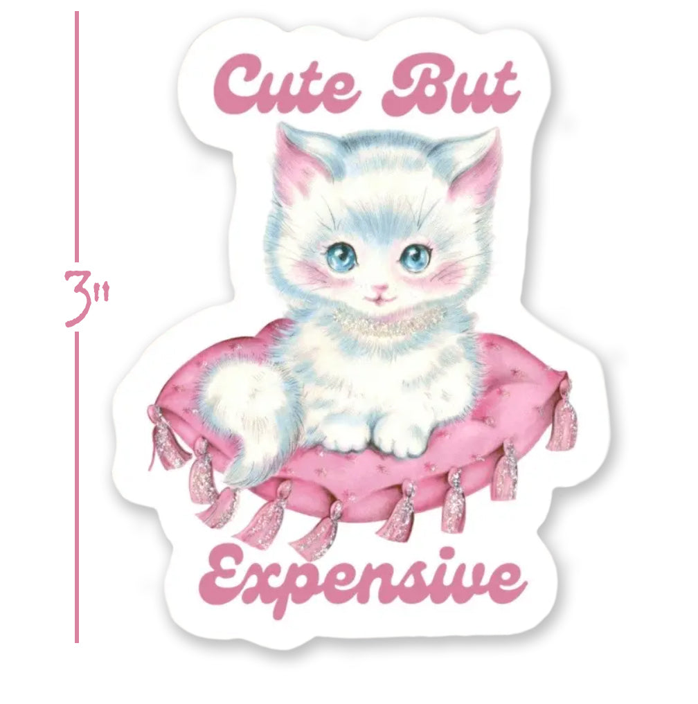 Cute But Expensive / Sticker