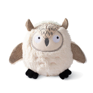 PET: "Whoooo's There?" Earth-Friendly Toy